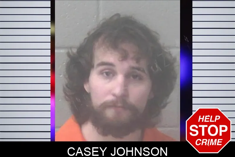 Casey Johnson Mugshots