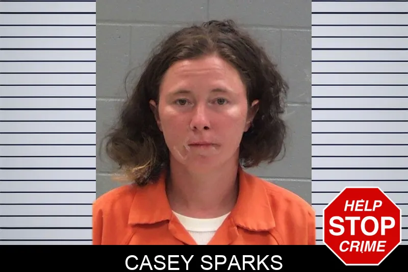 Casey Sparks Mugshots