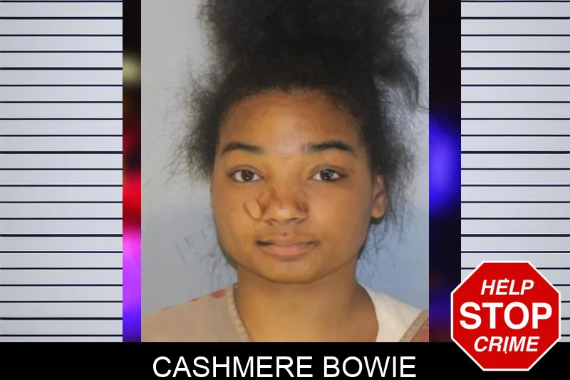 Cashmere Bowie Mugshots
