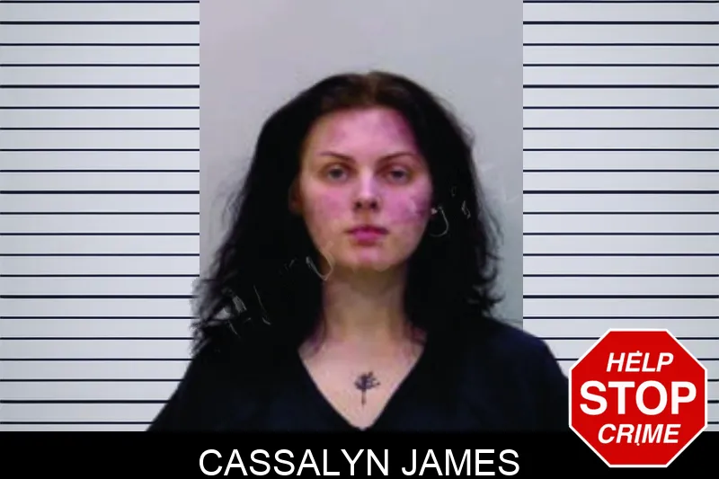 Cassalyn James mugshot