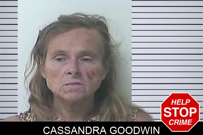 Cassandra Goodwin Mugshots