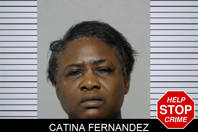 Catina Fernandez Mugshots