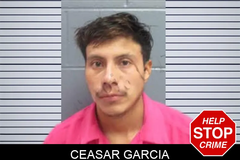 Ceasar Garcia Mugshots