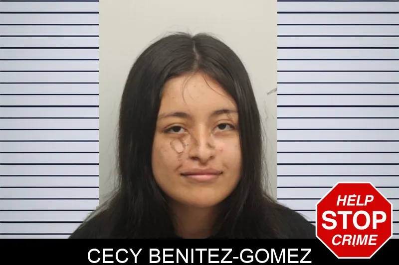 Cecy Benitez-Gomez Mugshots