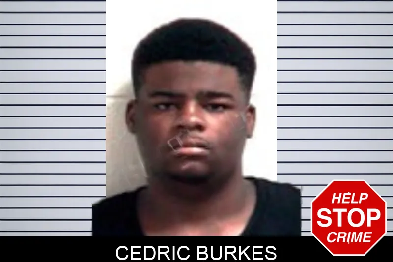Cedric Burkes Mugshots