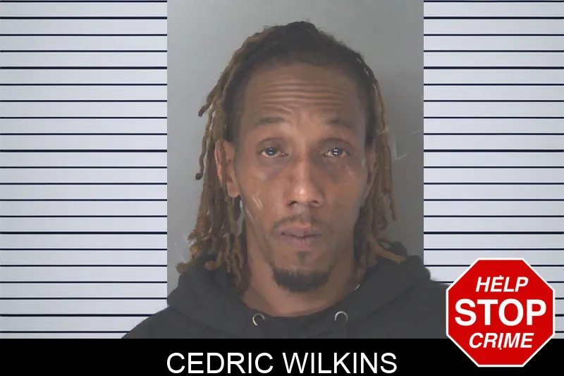 Cedric Wilkins mugshot