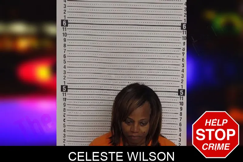 Celeste Wilson mugshot – Rockdale County , Georgia Celeste Wilson mugshot