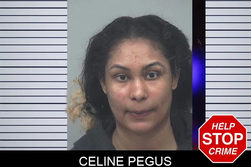 Celine Pegus mugshot – Gwinnett County , Georgia Celine Pegus mugshot