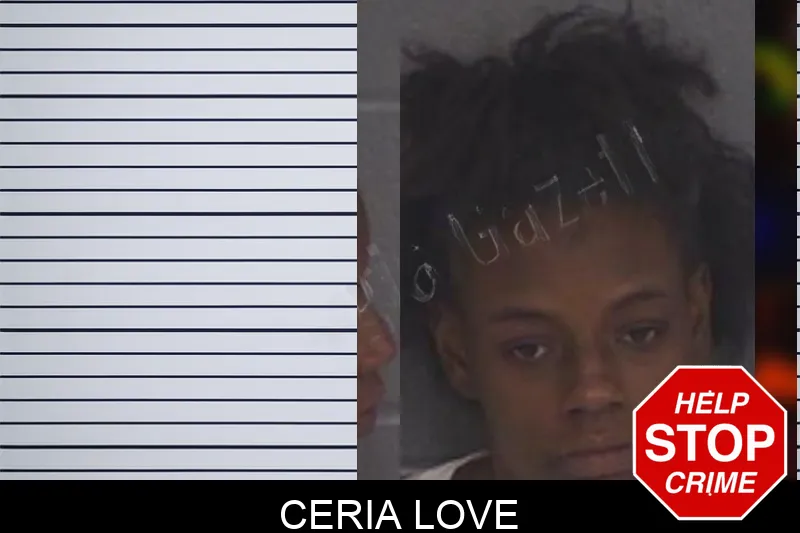 Ceria Love Mugshots