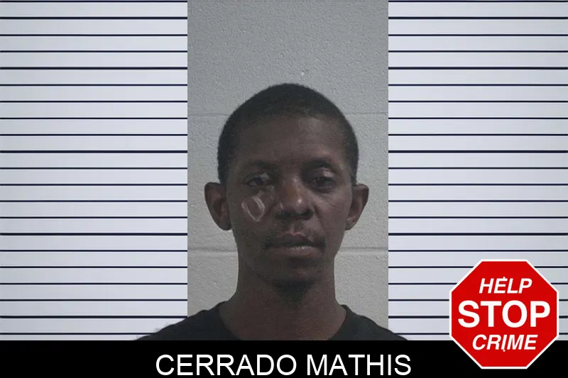 Cerrado Mathis Mugshots