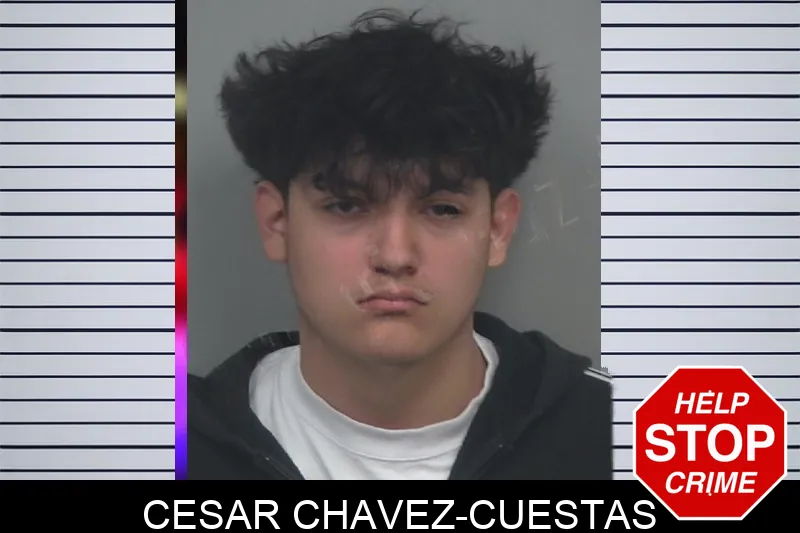 Cesar Chavez-Cuestas