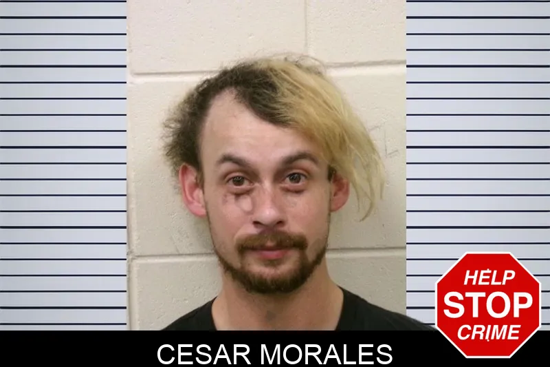 Cesar Morales Mugshots