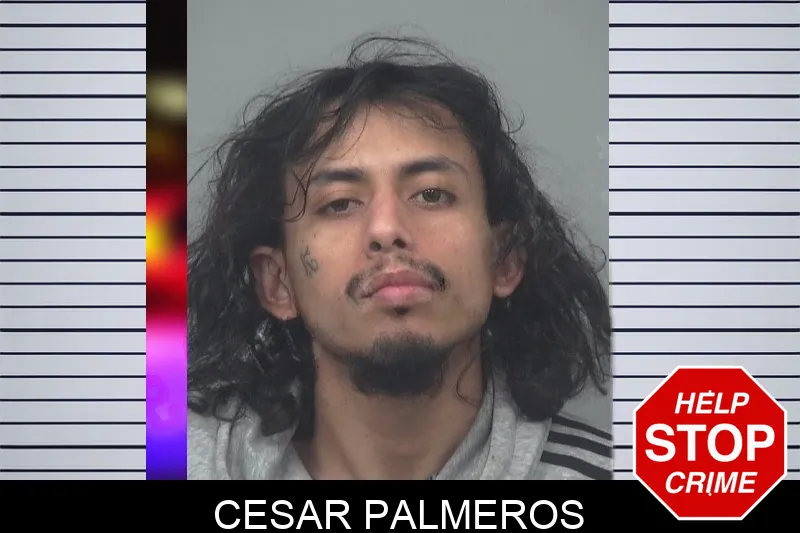 Cesar Palmeros Mugshots