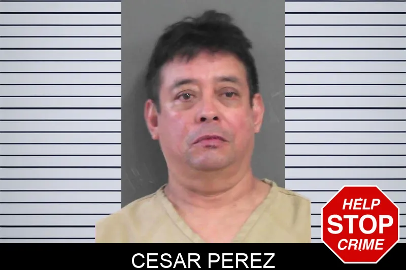 Cesar Perez Mugshots