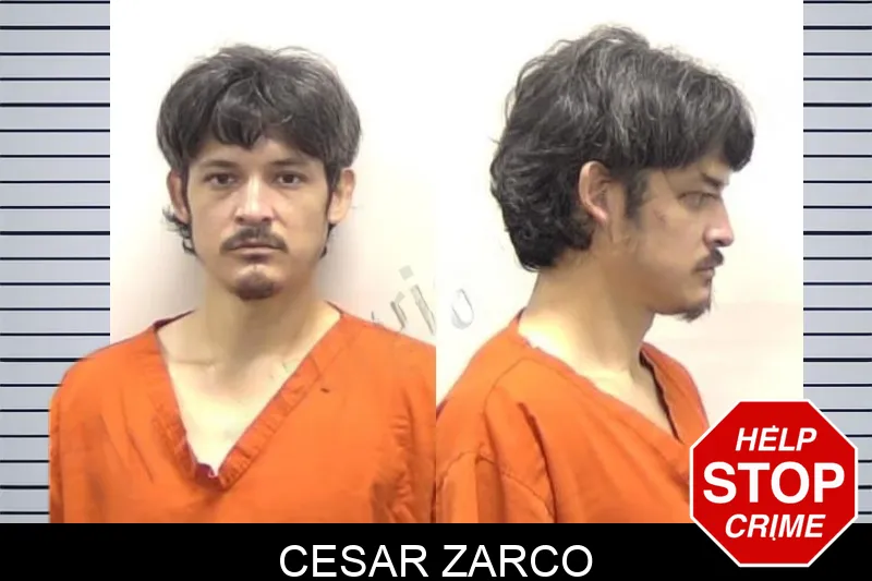 Cesar Zarco Mugshots