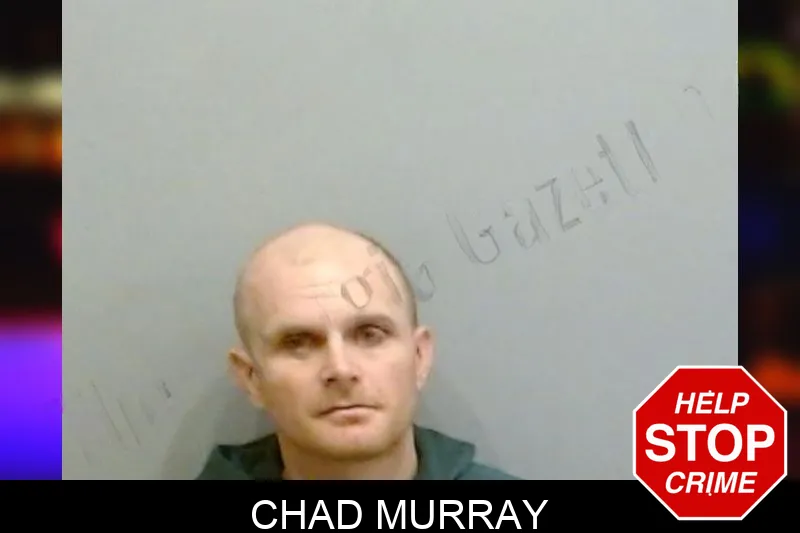 Chad Murray Mugshots
