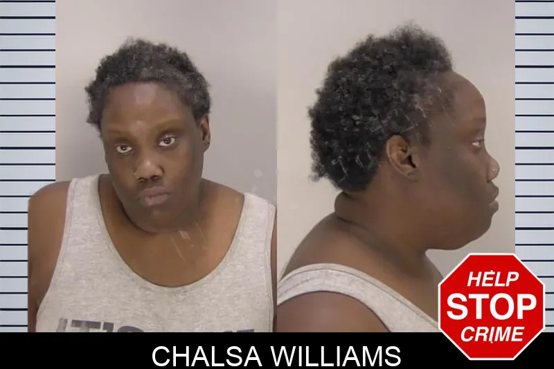 Chalsa Williams Mugshots