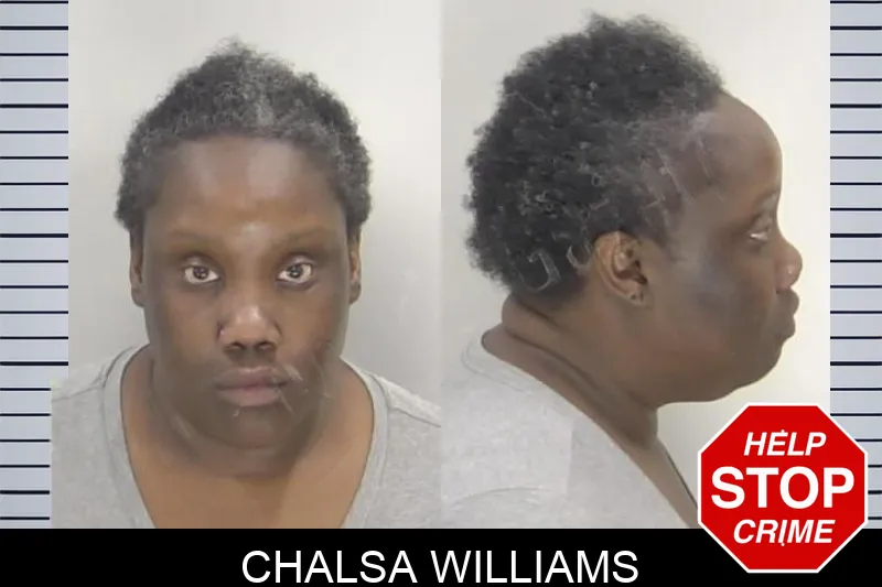 Chalsa Williams Mugshots