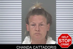 Chanda Cattadoris mugshot