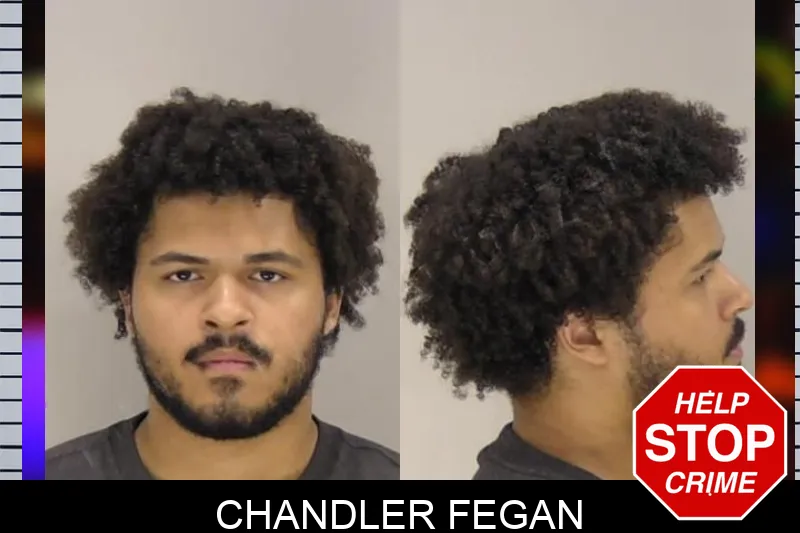 Chandler Fegan Mugshots