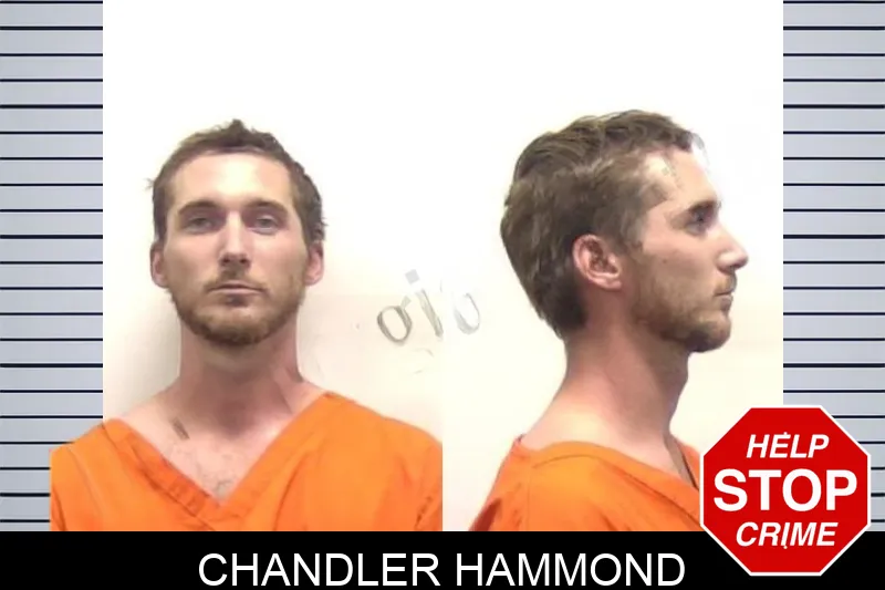 Chandler Hammond Mugshots