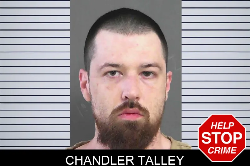 Chandler Talley Mugshots