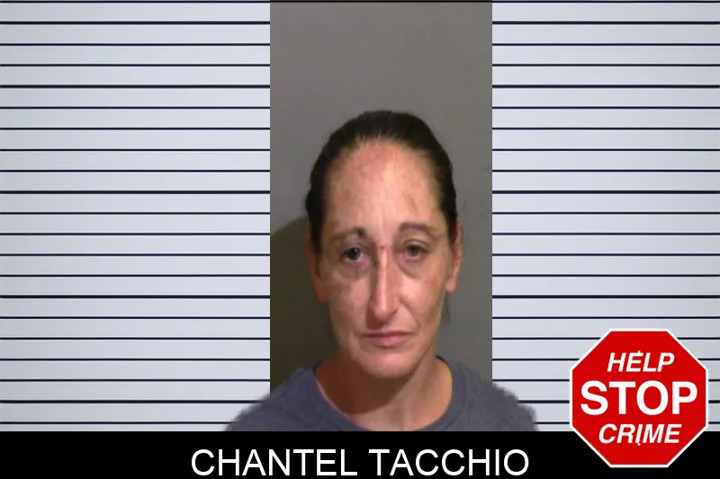 Chantel Tacchio Mugshots