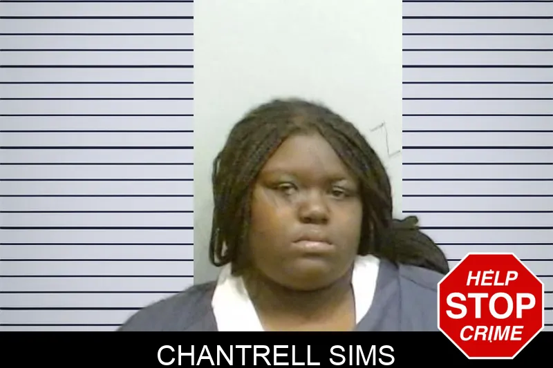 Chantrell Sims mugshot – Fulton County , Georgia Chantrell Sims