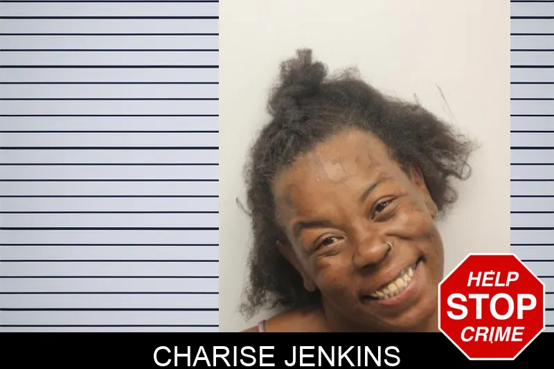 Charise Jenkins mugshot – Chatham County , Georgia Charise Jenkins mugshot