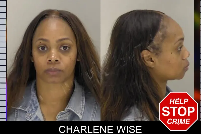Charlene Wise Mugshots
