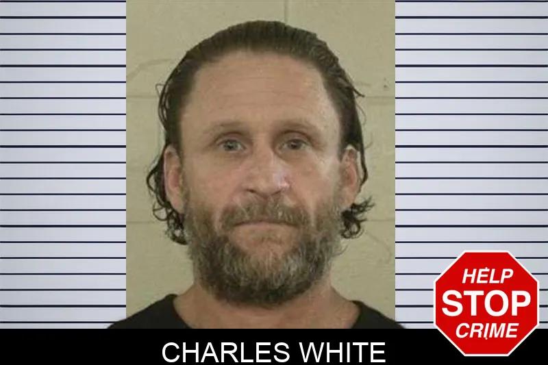 Charles White mugshot – Liberty County , Georgia Charles White mugshot