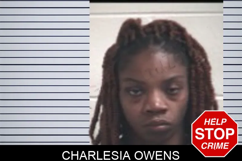 Charlesia Owens mugshot – Henry County , Georgia Charlesia Owens mugshot