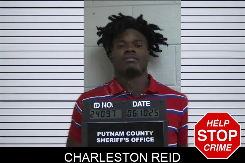 Charleston Reid Mugshots