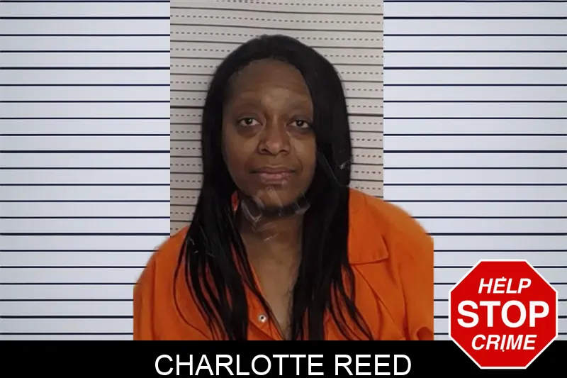Charlotte Reed mugshot