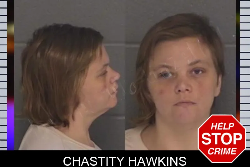 Chastity Hawkins Mugshots