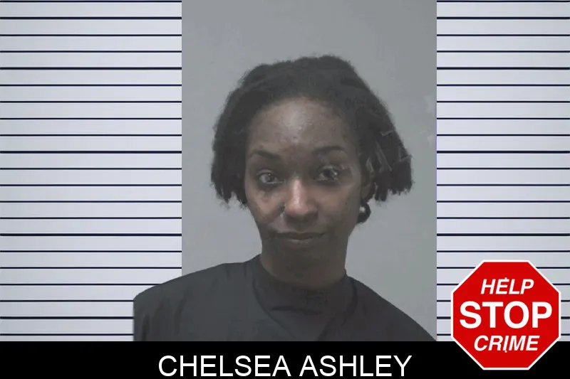 Chelsea Ashley Mugshots