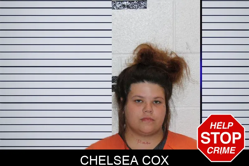 Chelsea Cox Mugshots