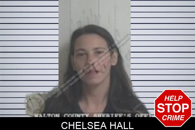 Chelsea Hall Mugshots