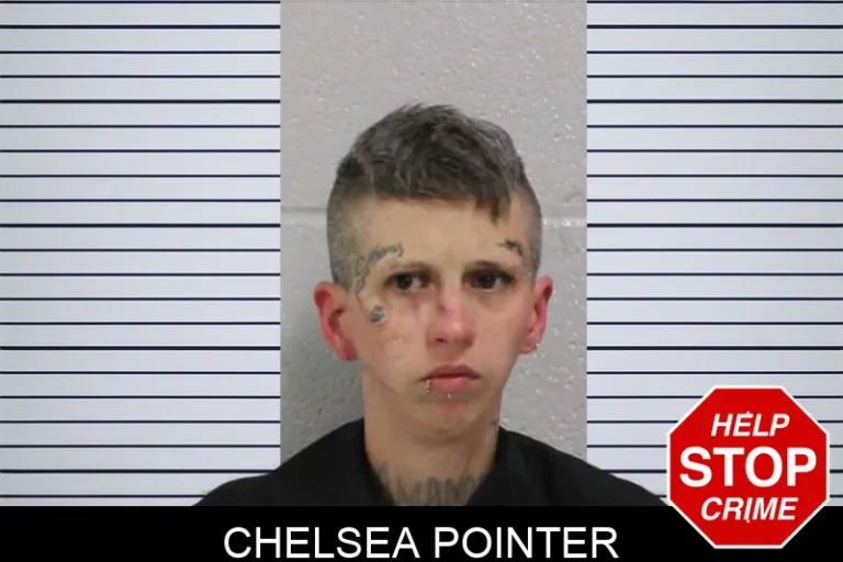 Chelsea Pointer