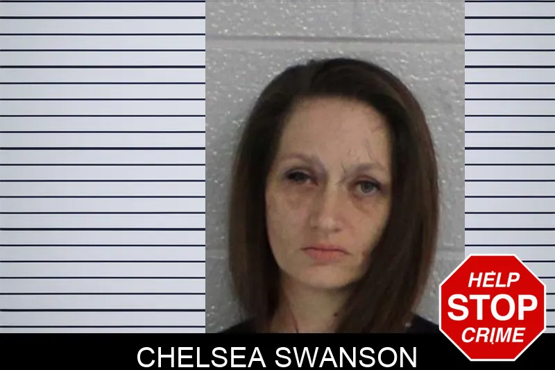 Chelsea Swanson mugshot – Carroll County , Georgia Chelsea Swanson mugshot