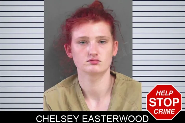 Chelsey Easterwood mugshot – Gordon County , Georgia Chelsey Easterwood
