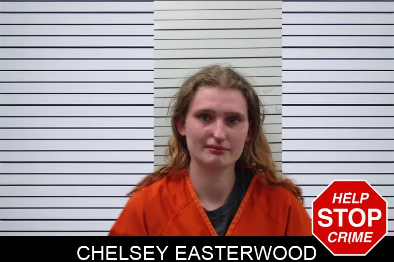 Chelsey Easterwood Mugshots