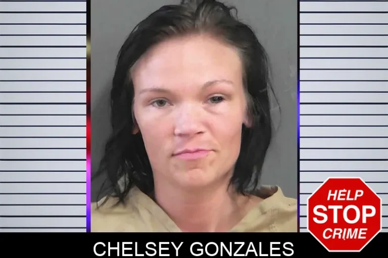 Chelsey Gonzales mugshot – Gordon County , Georgia Chelsey Gonzales