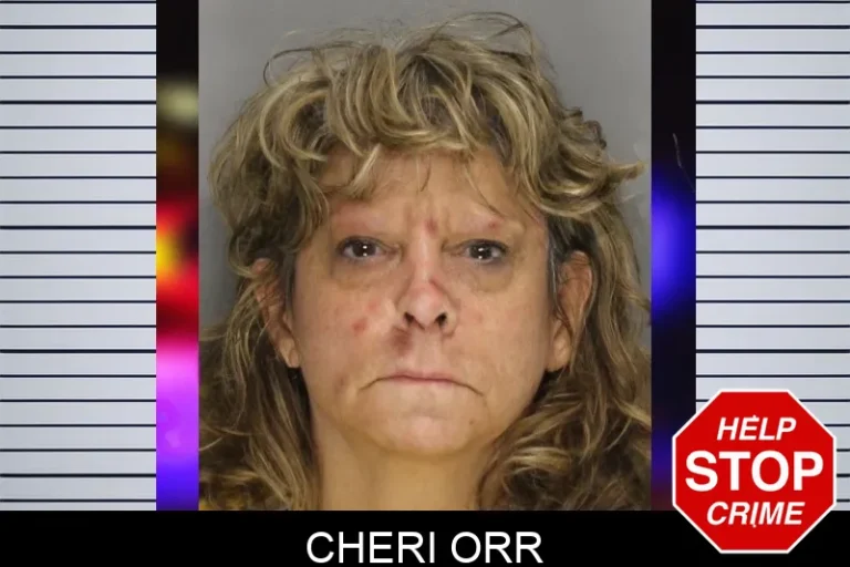 Cheri Orr mugshot – Cobb County , Georgia Cheri Orr