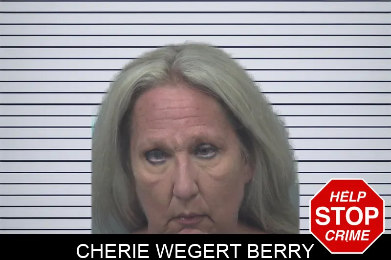 Cherie Wegert Berry Mugshots