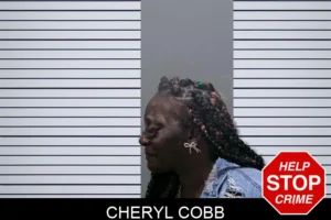 Cheryl Cobb mugshot