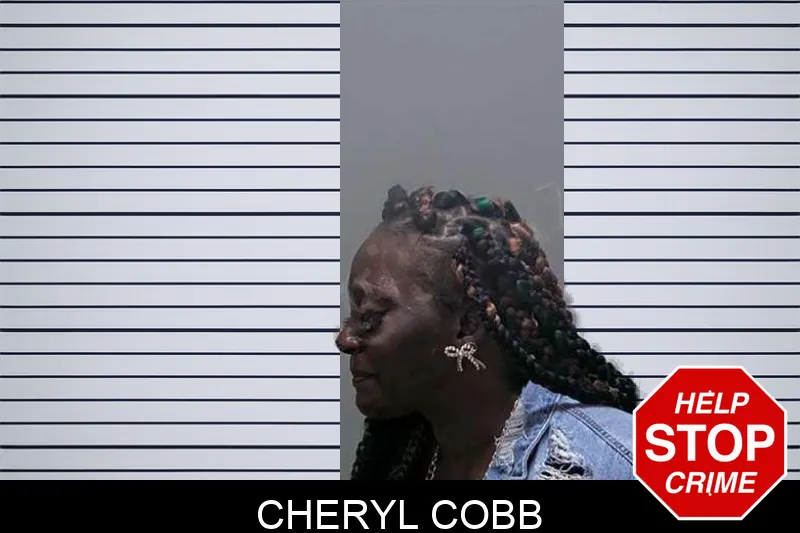 Cheryl Cobb Mugshots