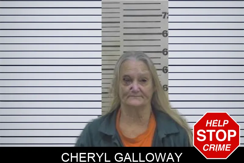 Cheryl Galloway Mugshots