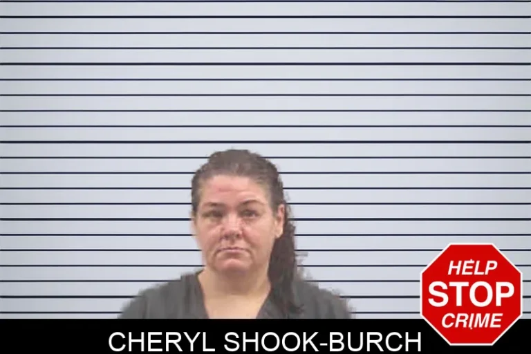 Cheryl Shook-Burch mugshot – Banks County , Georgia Cheryl Shook-Burch