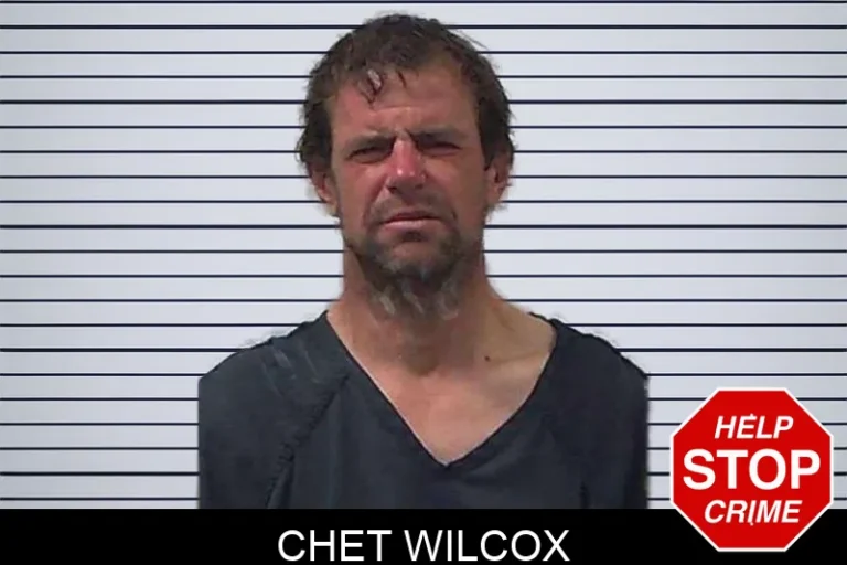 Chet Wilcox mugshot – Gilmer County , Georgia Chet Wilcox